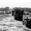 284th Engr. C. Bn.