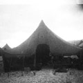 284th Engr. C. Bn.