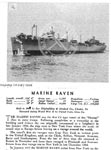 Marine Raven