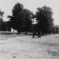 284th Engr. C. Bn.
