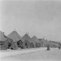 284th Engr. C. Bn.